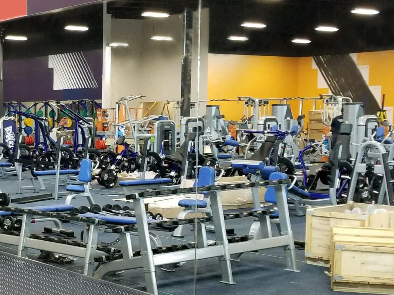 Wall-to-Wall Gym Mirrors Installed by Lemon Bay Glass